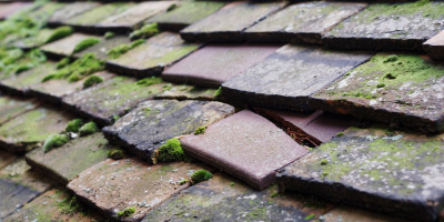 Redwick roof repair costs